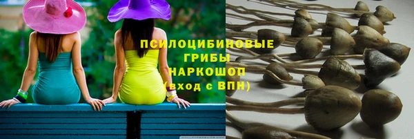 шишки Алексеевка
