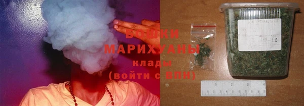 шишки Алексеевка