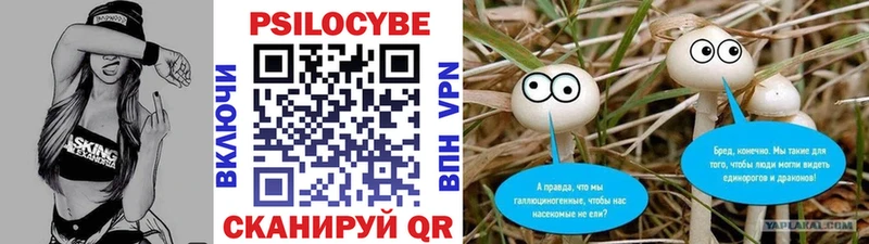 Псилоцибиновые грибы мухоморы наркошоп ссылка на мегу ONION Серов
